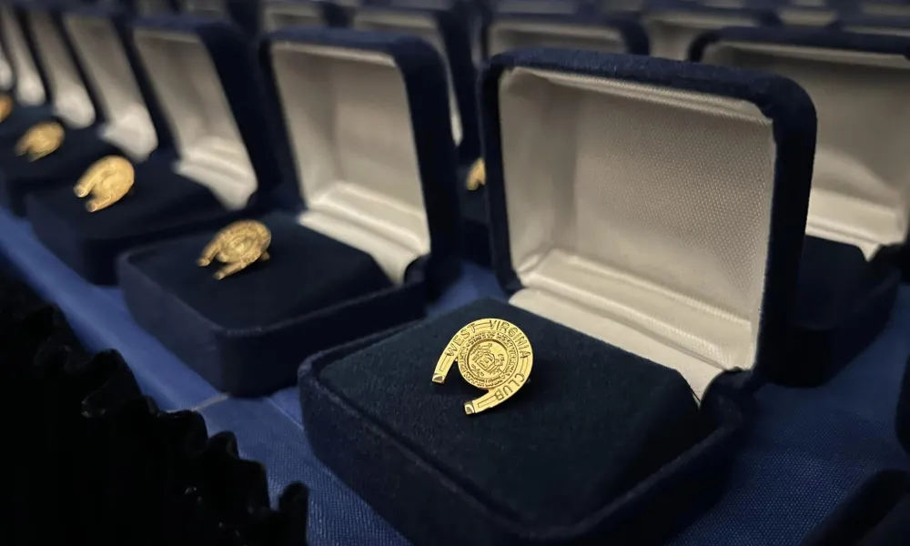 Pictured is a golden horseshoe pin sitting in a jewelry box.
