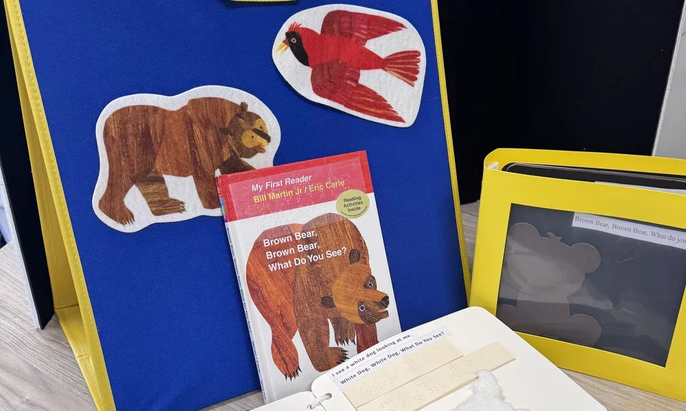 Brown Bear, Brown Bear adaptive book box example contents