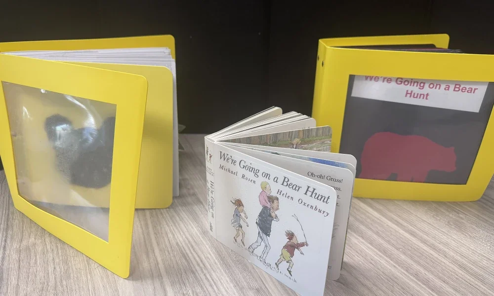 We Are Going On A Bear Hunt adaptive book box example contents