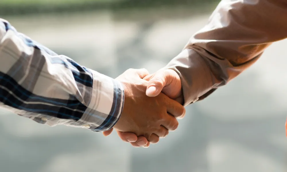 Two male hands embraced in a handshake.