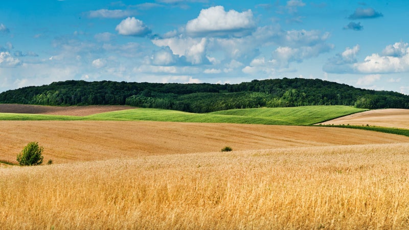 Agriculture