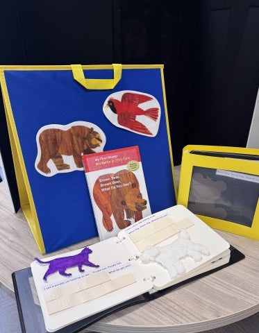 Brown Bear, Brown Bear adaptive book box example contents