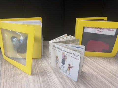 We Are Going On A Bear Hunt adaptive book box example contents