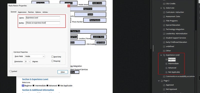 Screenshot: Settings for radio button groups, general tab