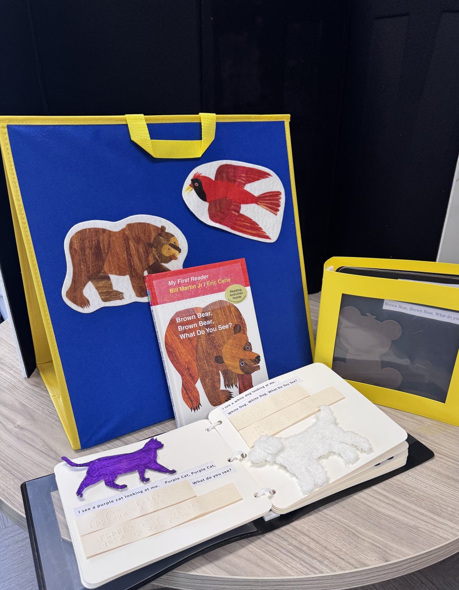 Brown Bear, Brown Bear adaptive book box example contents