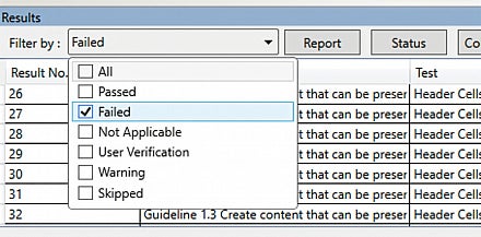 CommonLook results panel filtered to failures only