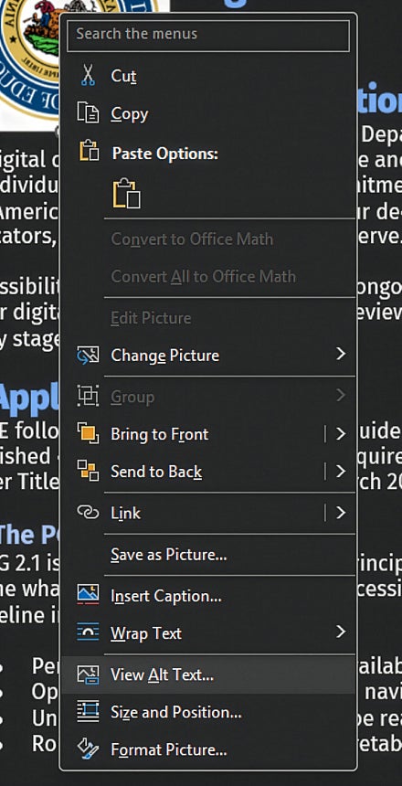 Screenshot: Word right-click menu on image with View Alt Text selected