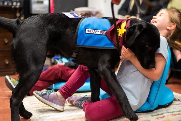 A therapy dog greets a young student.