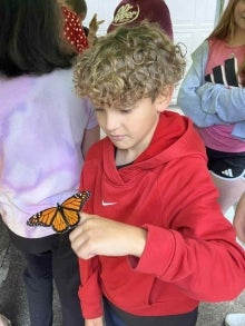 A student holding a butterfly on his finger.