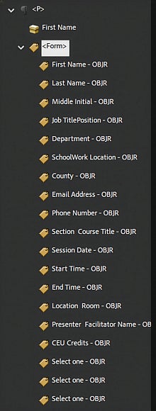 Screenshot: Multiple form objects created in an active tag using the Tag Annotations setting
