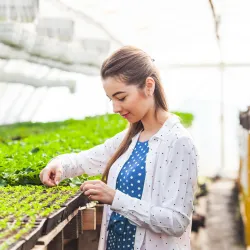 Young woman in greenhouse tending to plants