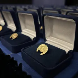 Pictured is a golden horseshoe pin sitting in a jewelry box.