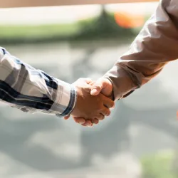 Two male hands embraced in a handshake.