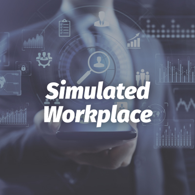 Visit Simulate Workspace