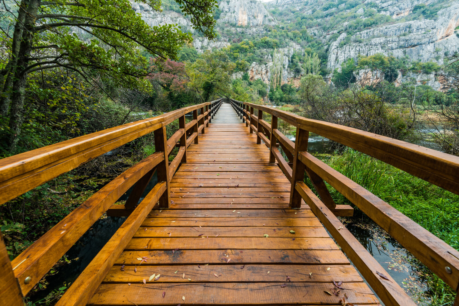 Wooden bridge in Krka National Park,Croatia.